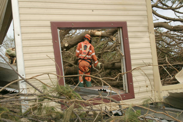 Evart, MI Tree Removal Company